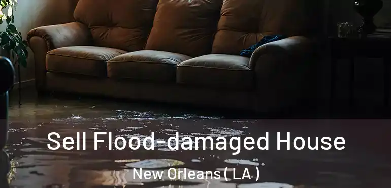  Sell Flood-damaged House New Orleans ( LA )