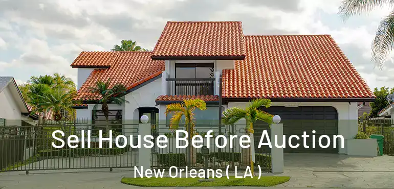  Sell House Before Auction New Orleans ( LA )