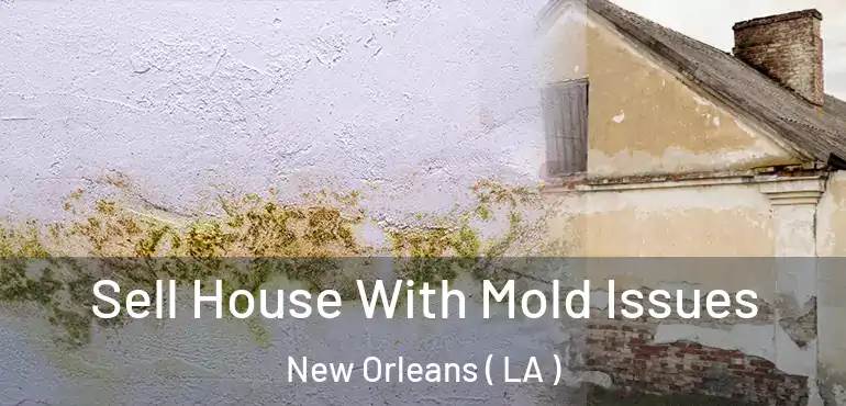  Sell House With Mold Issues New Orleans ( LA )